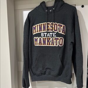 Champion Gray Collegiate Hoodie Sweatshirt